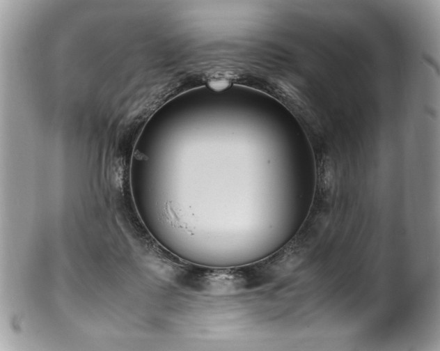 X0000102250315200807251328
