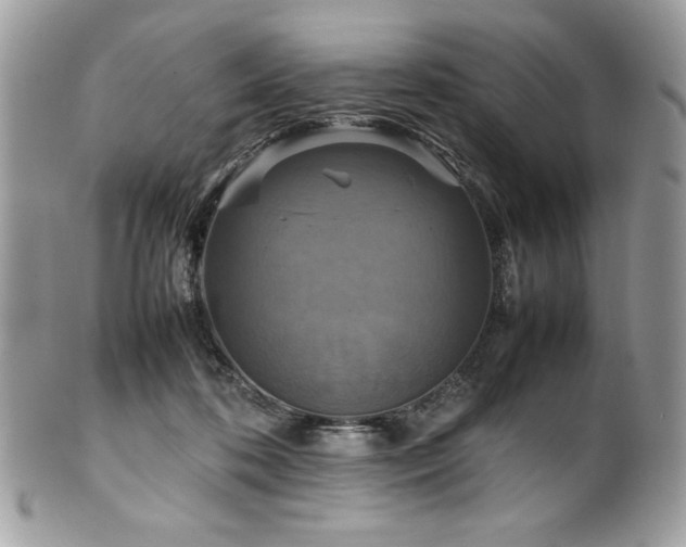 X0000102250316200807251328