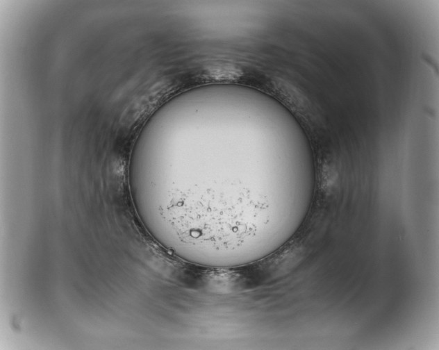 X0000102250321200807251328