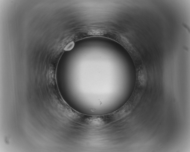 X0000102250322200807251328