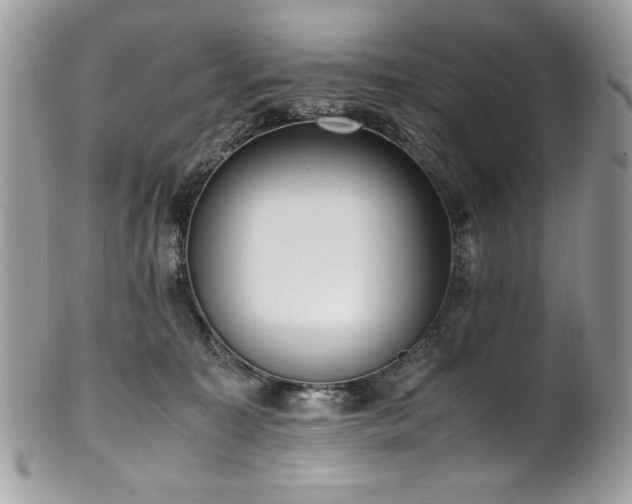 X0000102250323200807251328