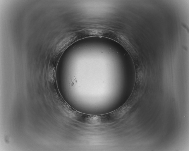 X0000102250325200807251328