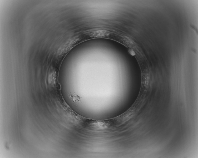 X0000102250326200807251328