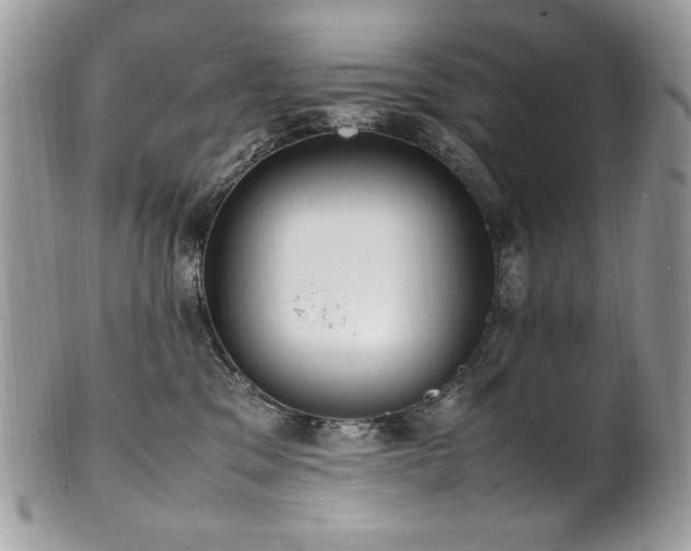 X0000102250329200807251328