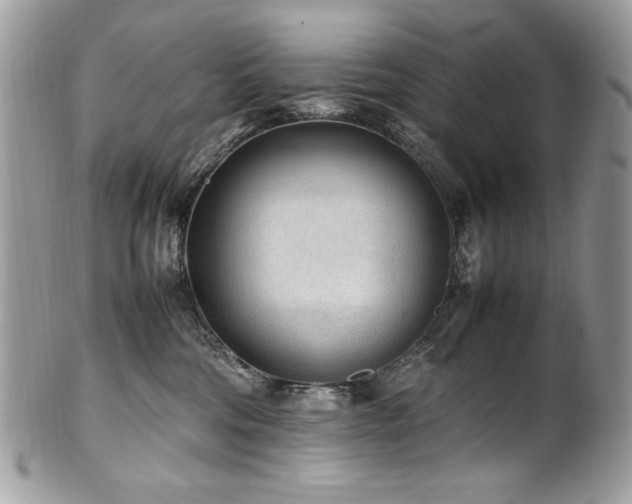 X0000102250330200807251328