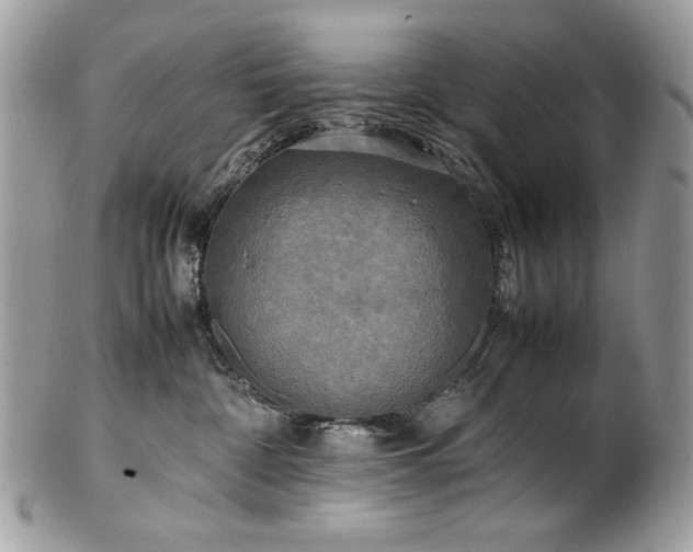 X0000102250332200807251327