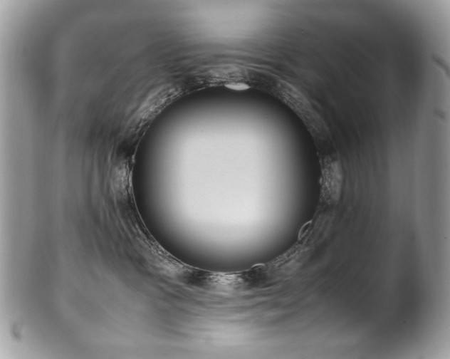X0000102250333200807251327