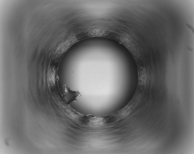 X0000102250334200807251327