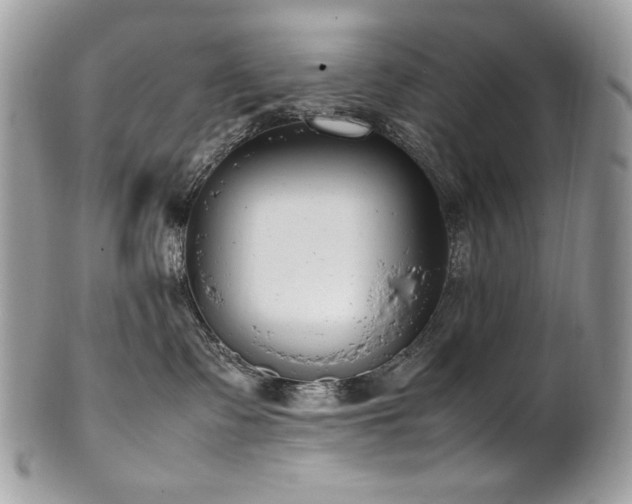 X0000102250335200807251327