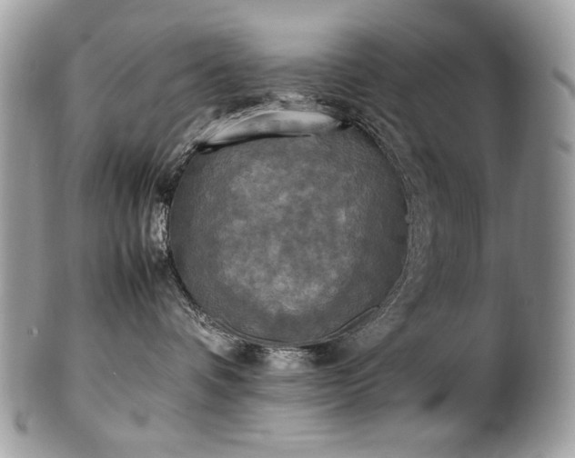 X0000102250336200807251327