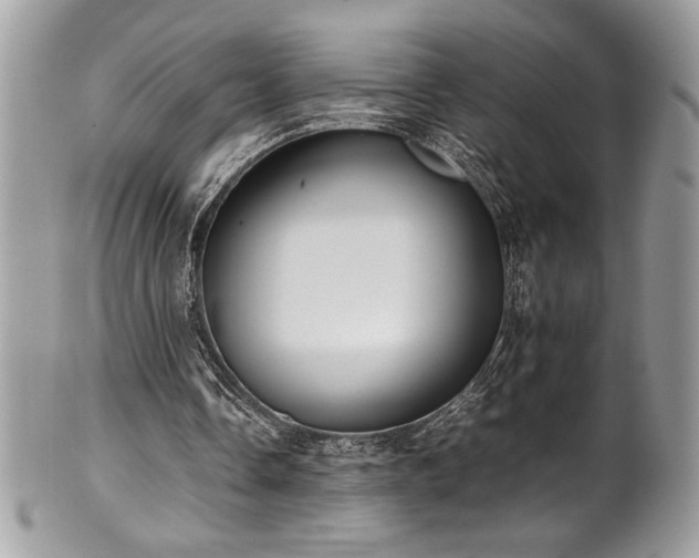 X0000102250338200807251327