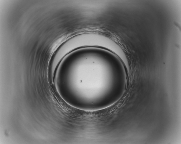 X0000102250340200807251327