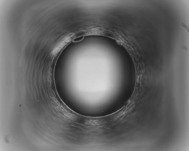 X0000102250341200807251327