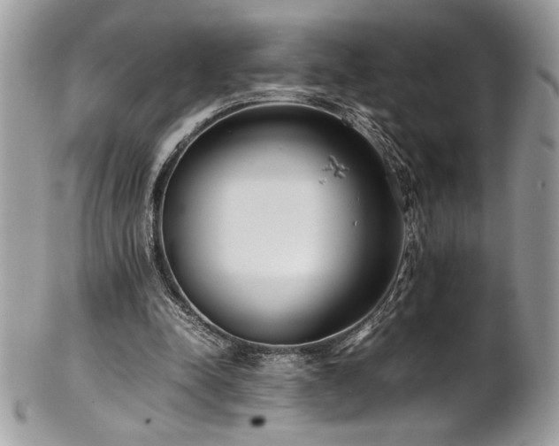 X0000102250342200807251327
