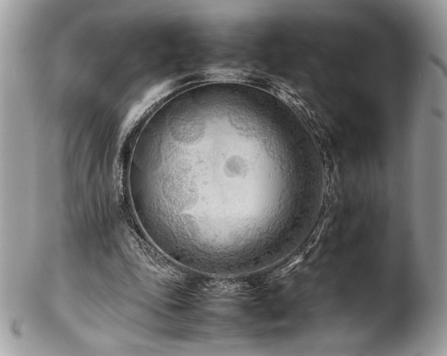 X0000102250343200807251327