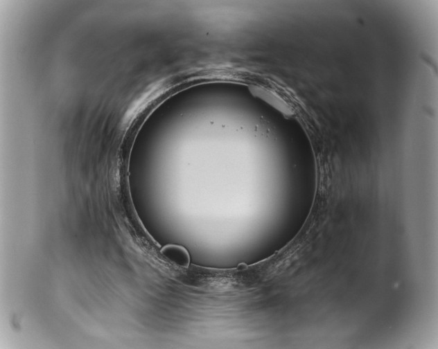 X0000102250344200807251327