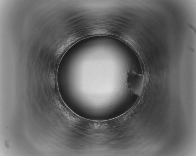 X0000102250345200807251327