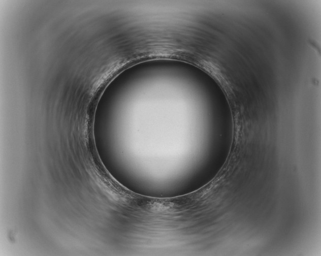 X0000102250346200807251327
