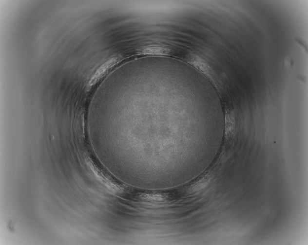 X0000102250349200807251327
