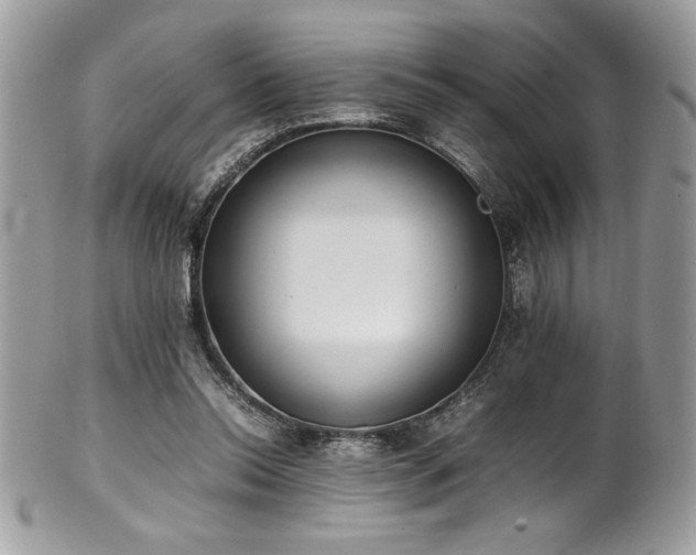 X0000102250350200807251327