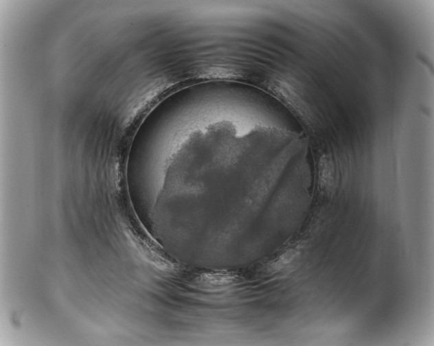 X0000102250351200807251327