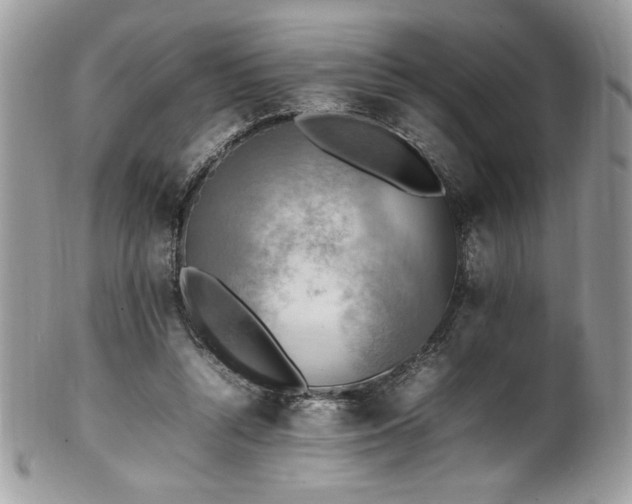 X0000102250352200807251327