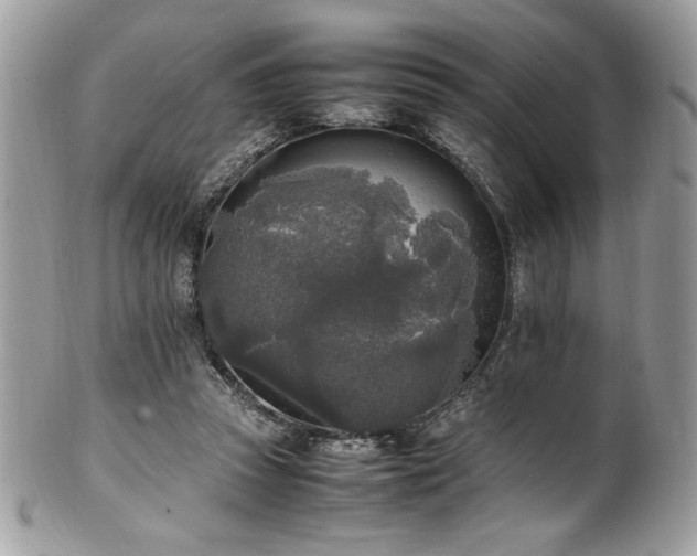 X0000102250353200807251327