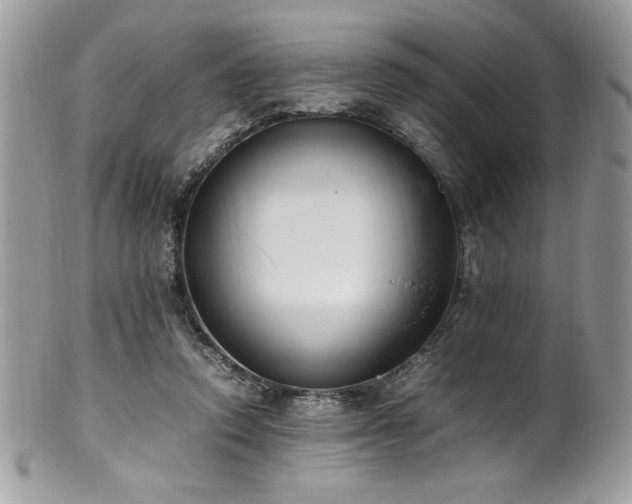 X0000102250354200807251327