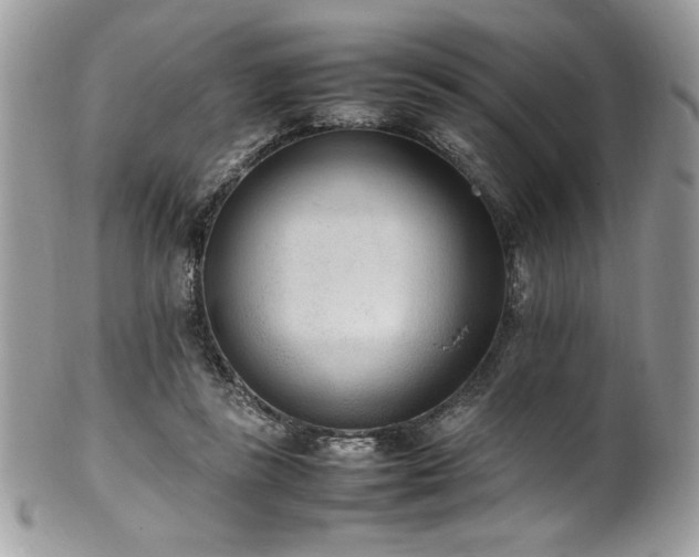X0000102250355200807251327