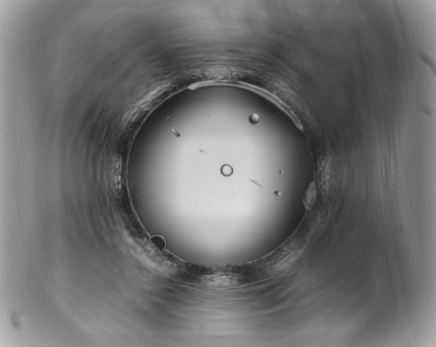 X0000102250356200807251327