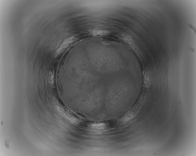 X0000102250357200807251327