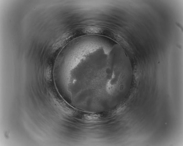 X0000102250359200807251327