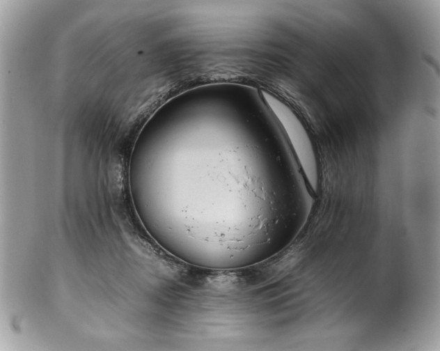X0000102250362200807251327