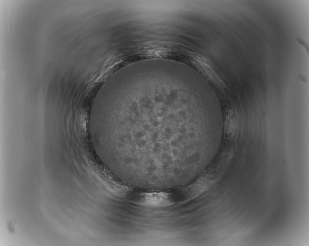 X0000102250363200807251327
