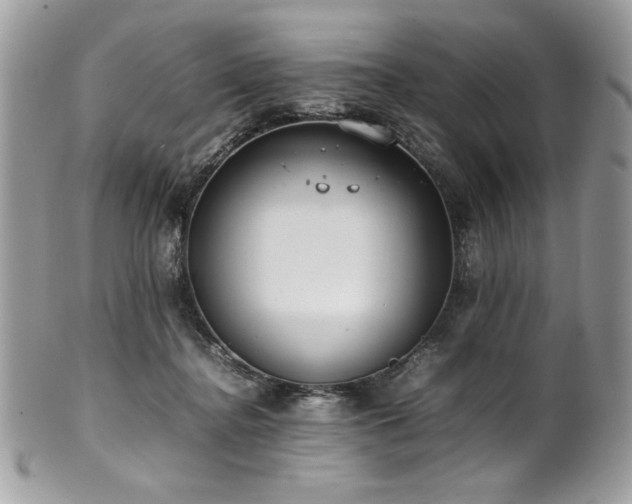 X0000102250364200807251327