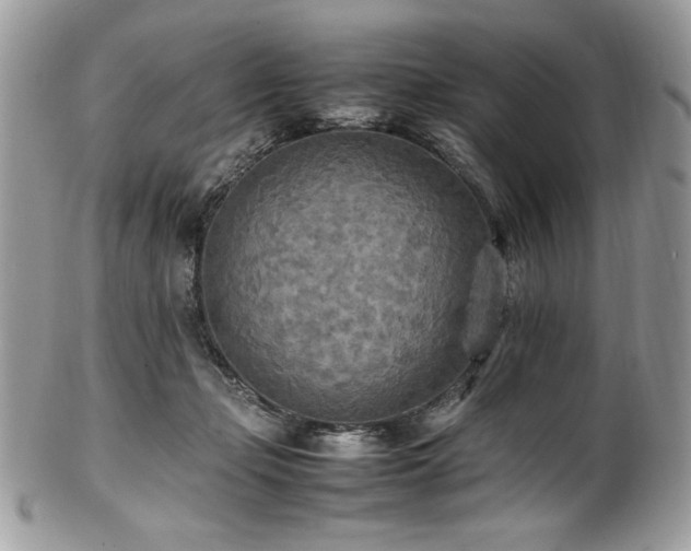 X0000102250365200807251327
