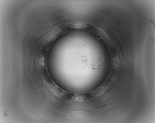 X0000102250368200807251327