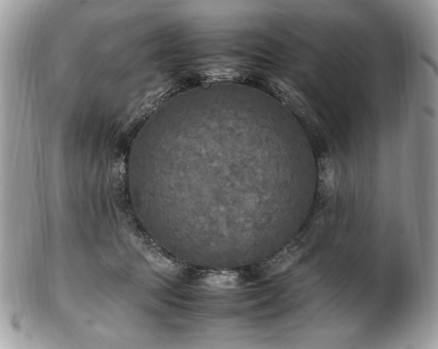 X0000102250369200807251327