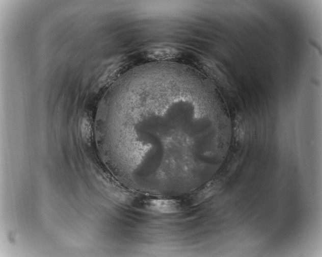 X0000102250371200807251327
