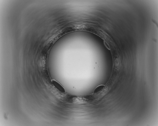 X0000102250372200807251327