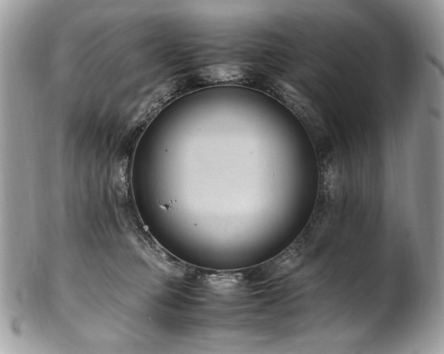 X0000102250373200807251327