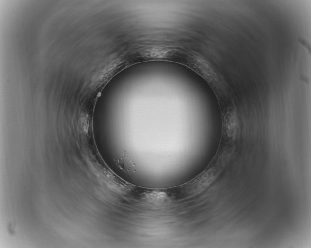 X0000102250374200807251327