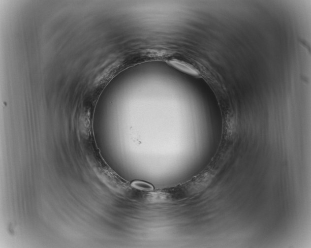 X0000102250376200807251327