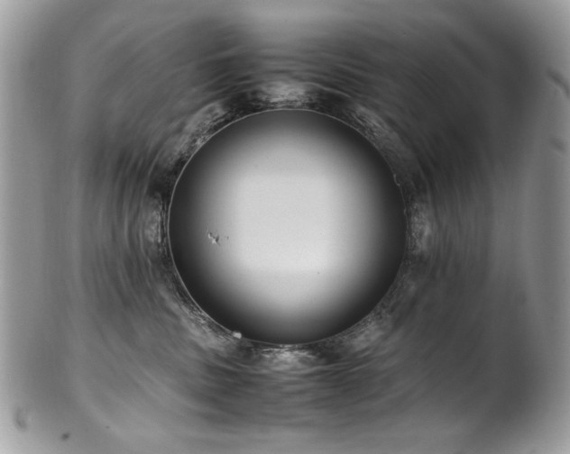 X0000102250379200807251327