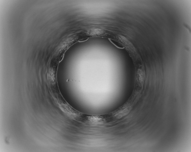 X0000102250380200807251327