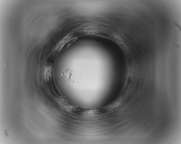 X0000102250382200807251327