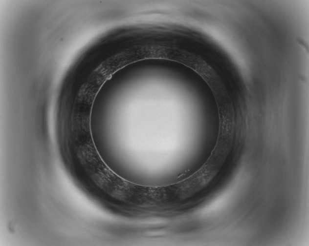 X0000102250383200807251327