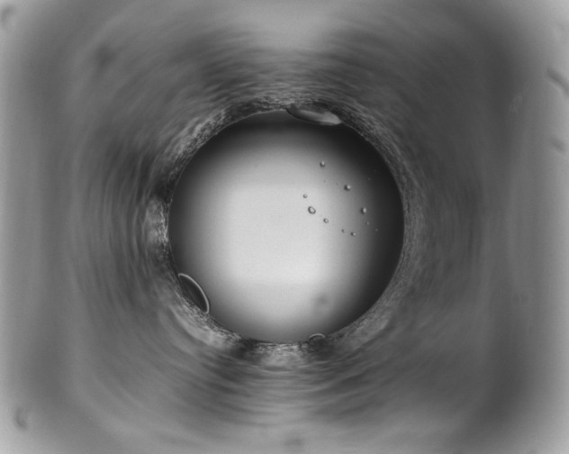 X0000102250384200807251327