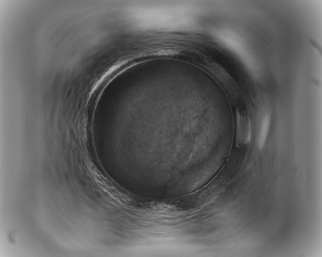 X0000102250387200807251327