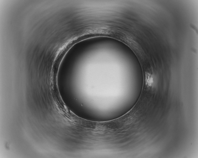 X0000102250388200807251327